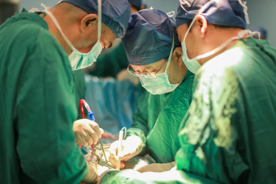 世界首例！我院骨科完成高難度、高科技3D打印可動人工頸椎-椎間盤復合體植入術