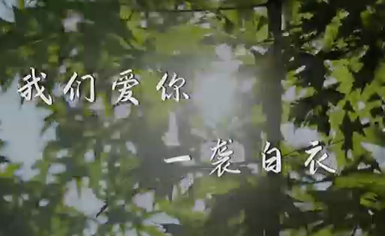 醫師節：我們愛你 一襲白衣